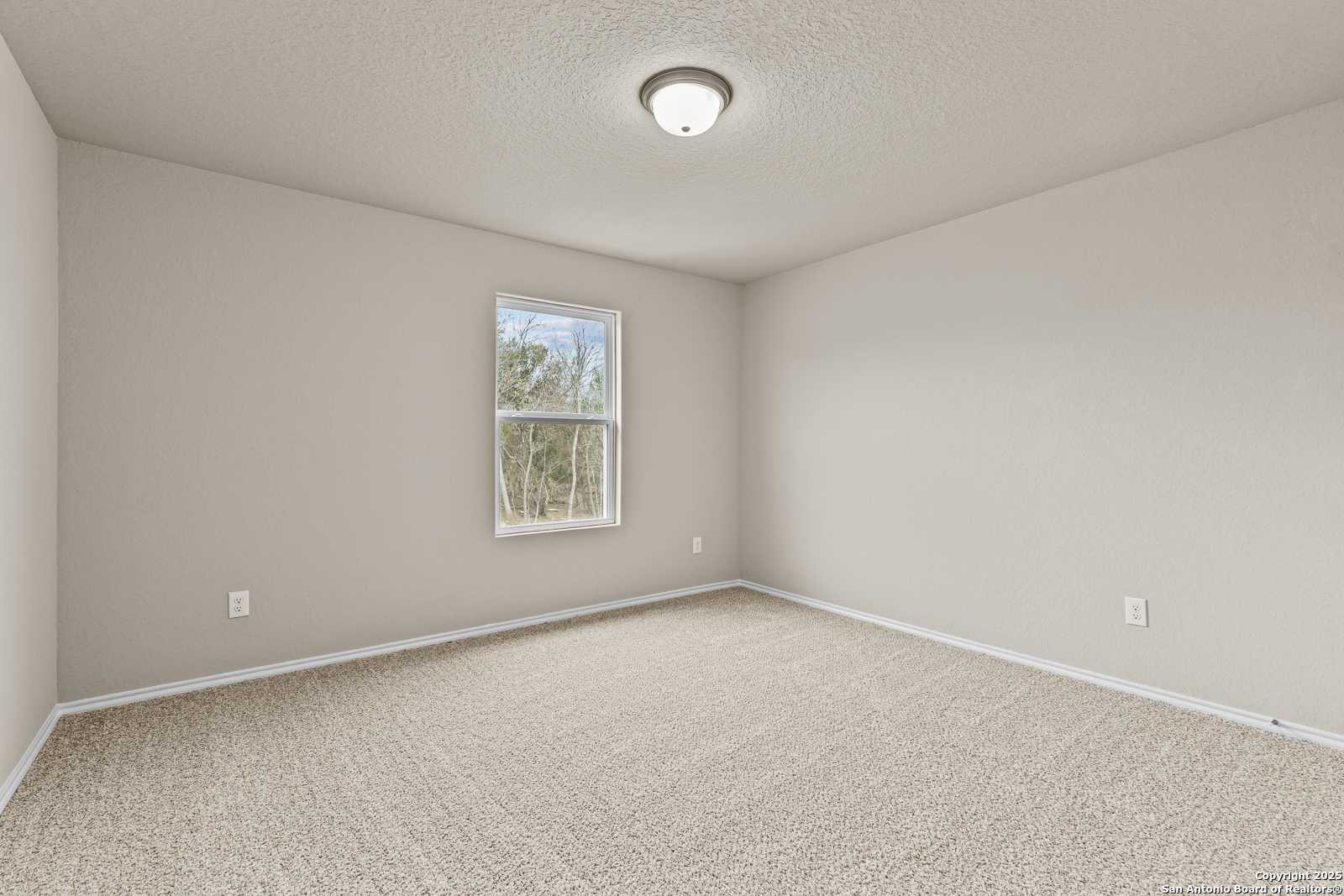 Empty secondary bedroom featuring beige walls, carpet flooring, and large window in Davidson Homes The Douglas F, San Antonio, Texas