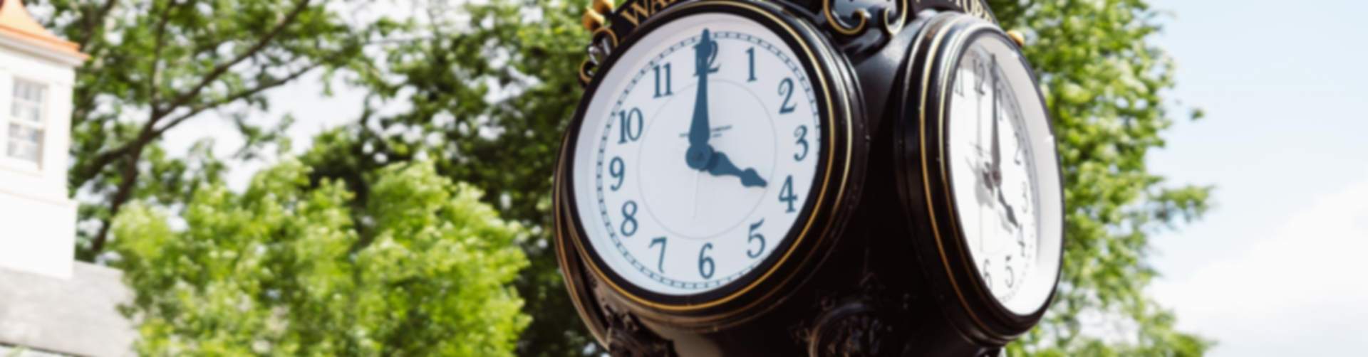 Historic Wake Forest town clock on ornate pedestal amid lush trees and brick buildings on sunny day