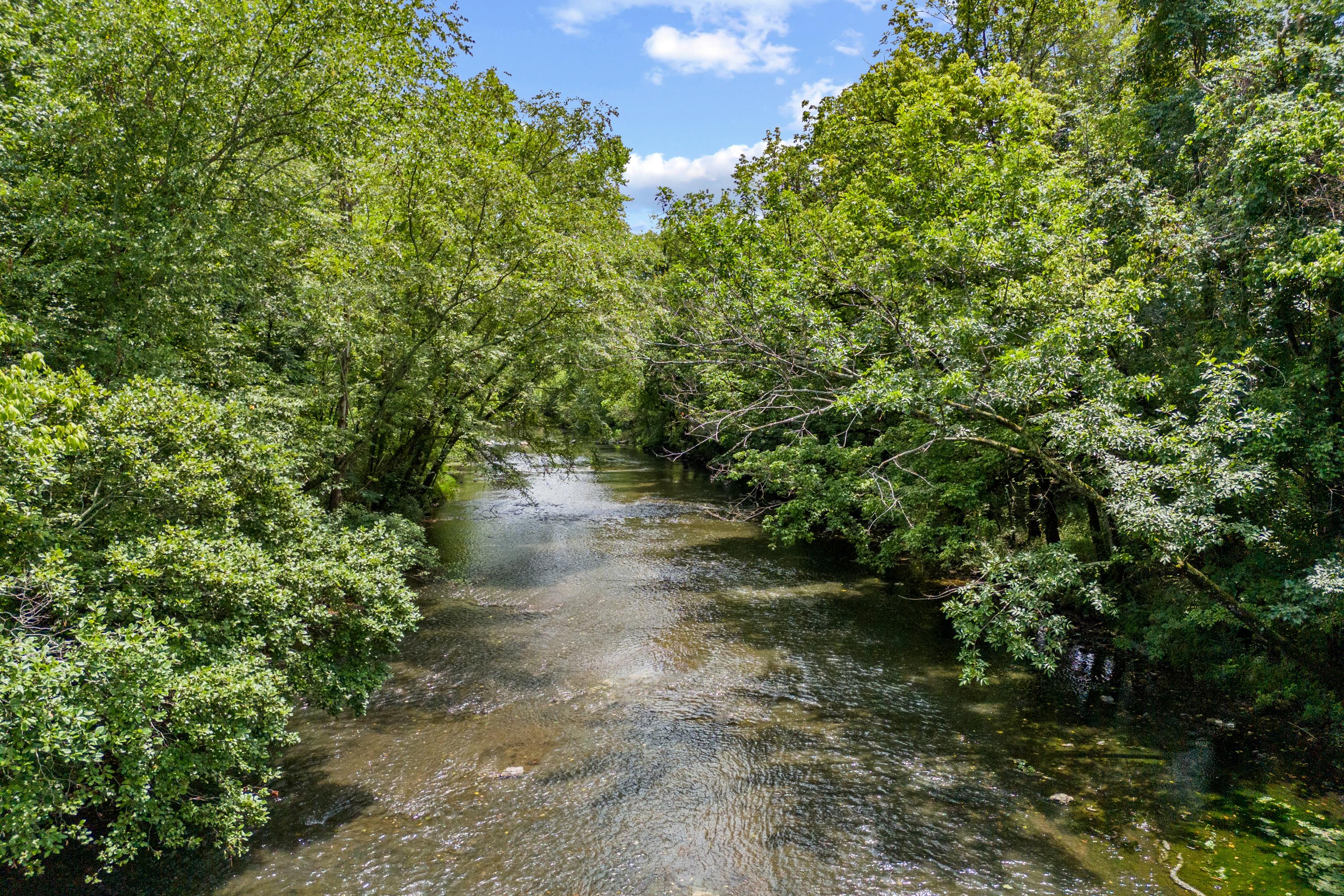 Serene river flowing through lush green trees under partly cloudy skies at The Meadows in Athens Alabama