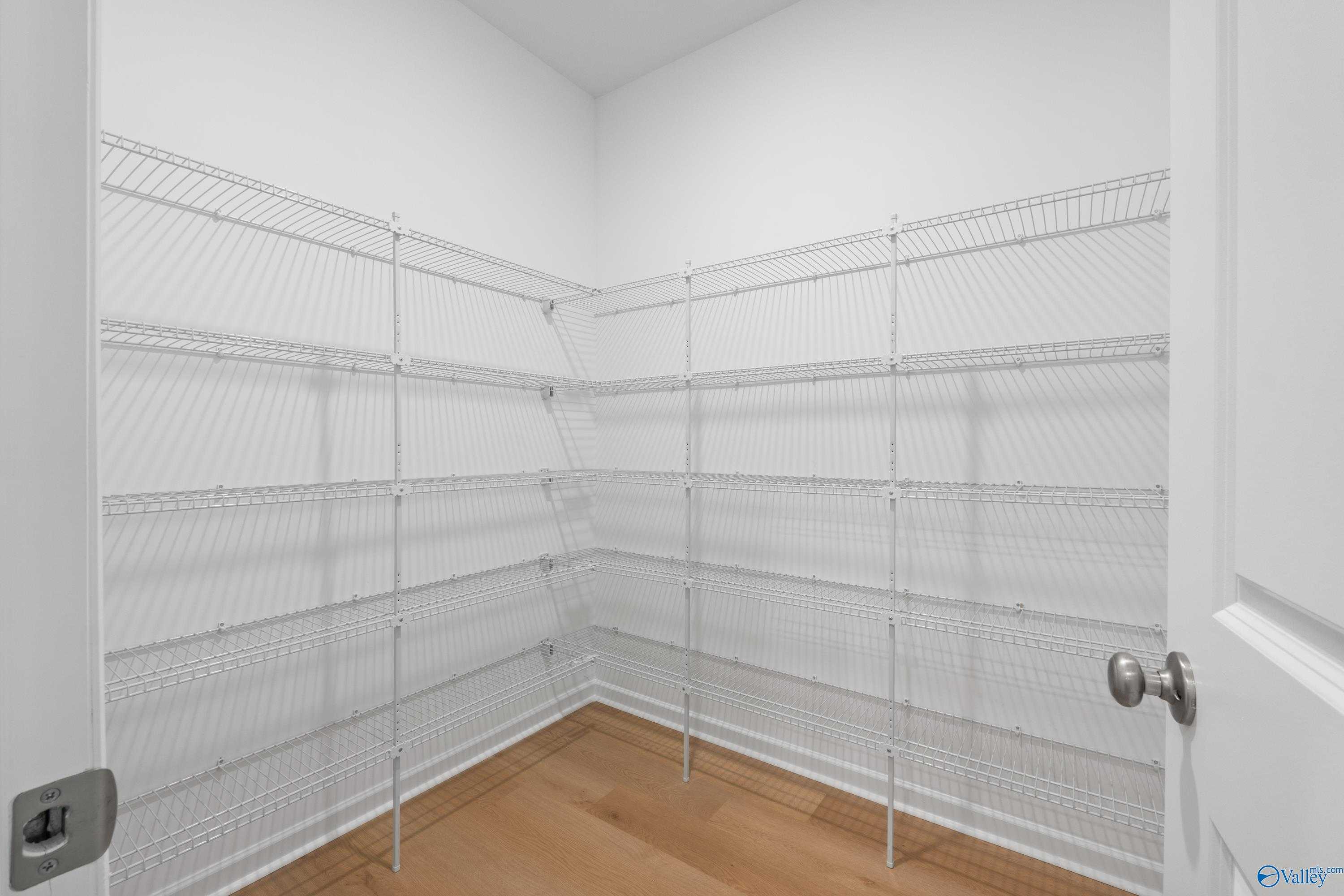 Spacious walk-in pantry with white wire shelving in corner, open door, in Davidson Homes The Luna, Hazel Green, Alabama