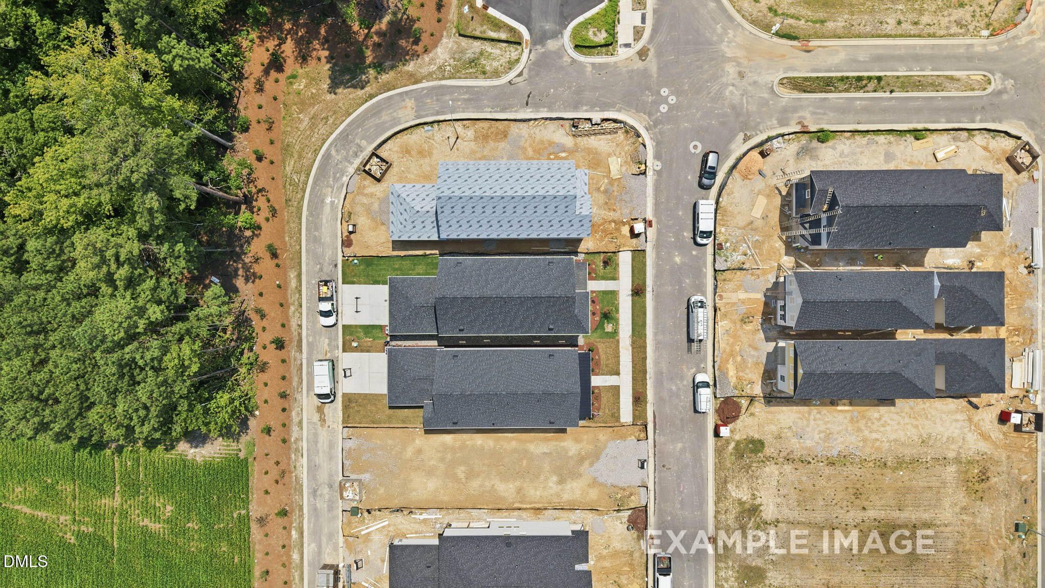 Image 3 of Davidson Homes' New Home at 820 Carpet Grass Avenue