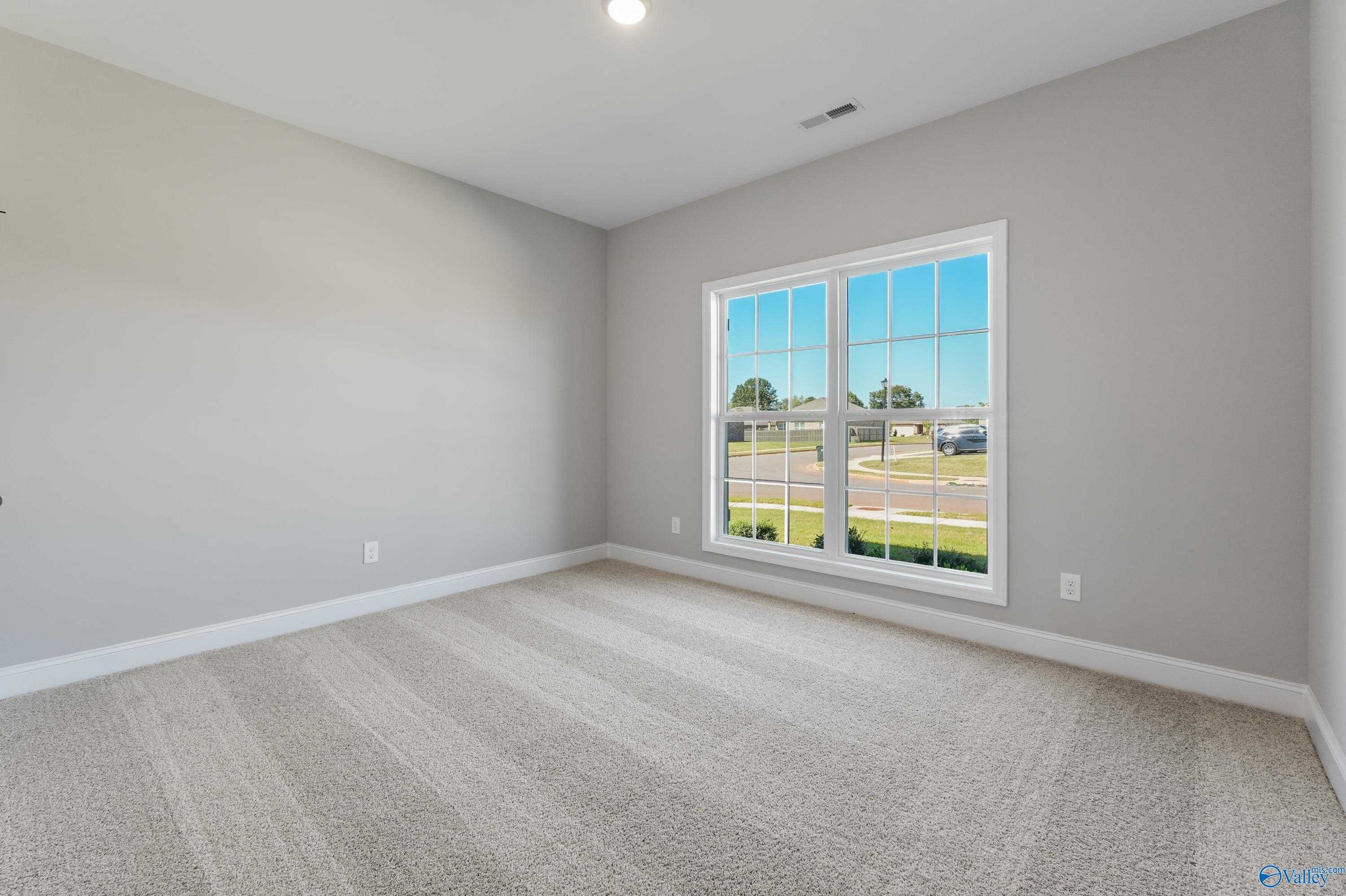 Bright empty bedroom with gray walls, carpet flooring, and large window overlooking Hazel Green neighborhood in The Daphne C