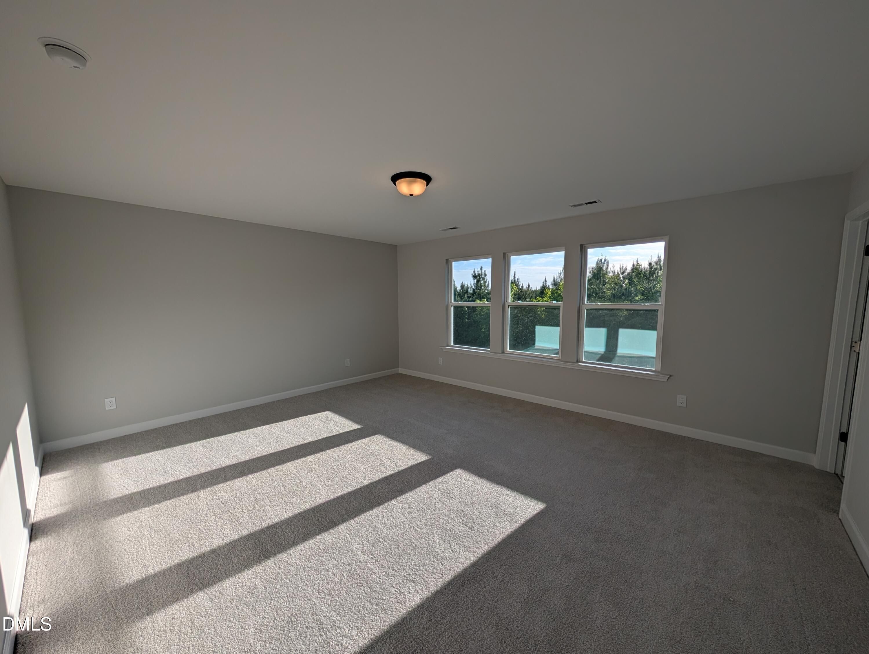 Image 20 of Davidson Homes' New Home at 909 Diana Victoria Court