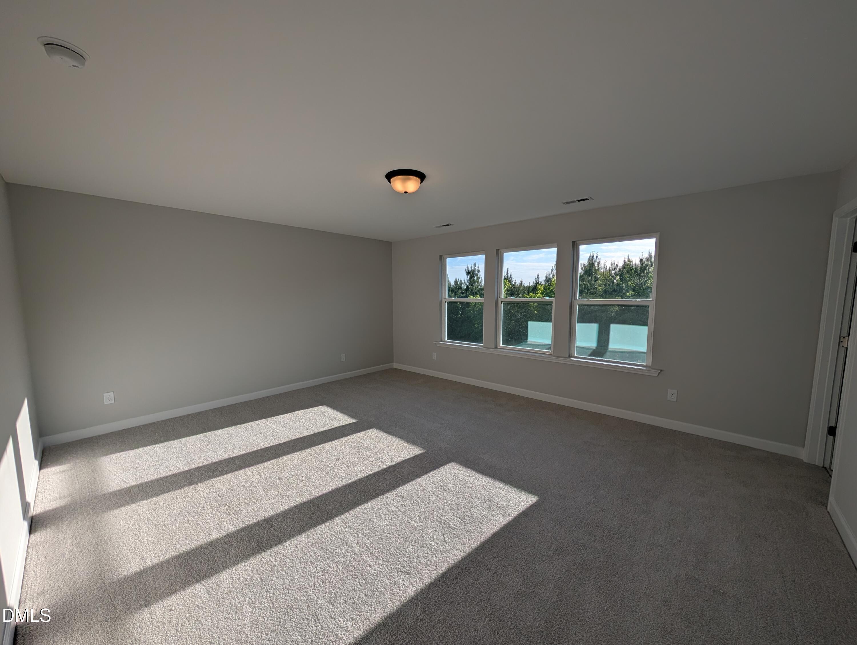 Image 20 of Davidson Homes' New Home at 909 Diana Victoria Court