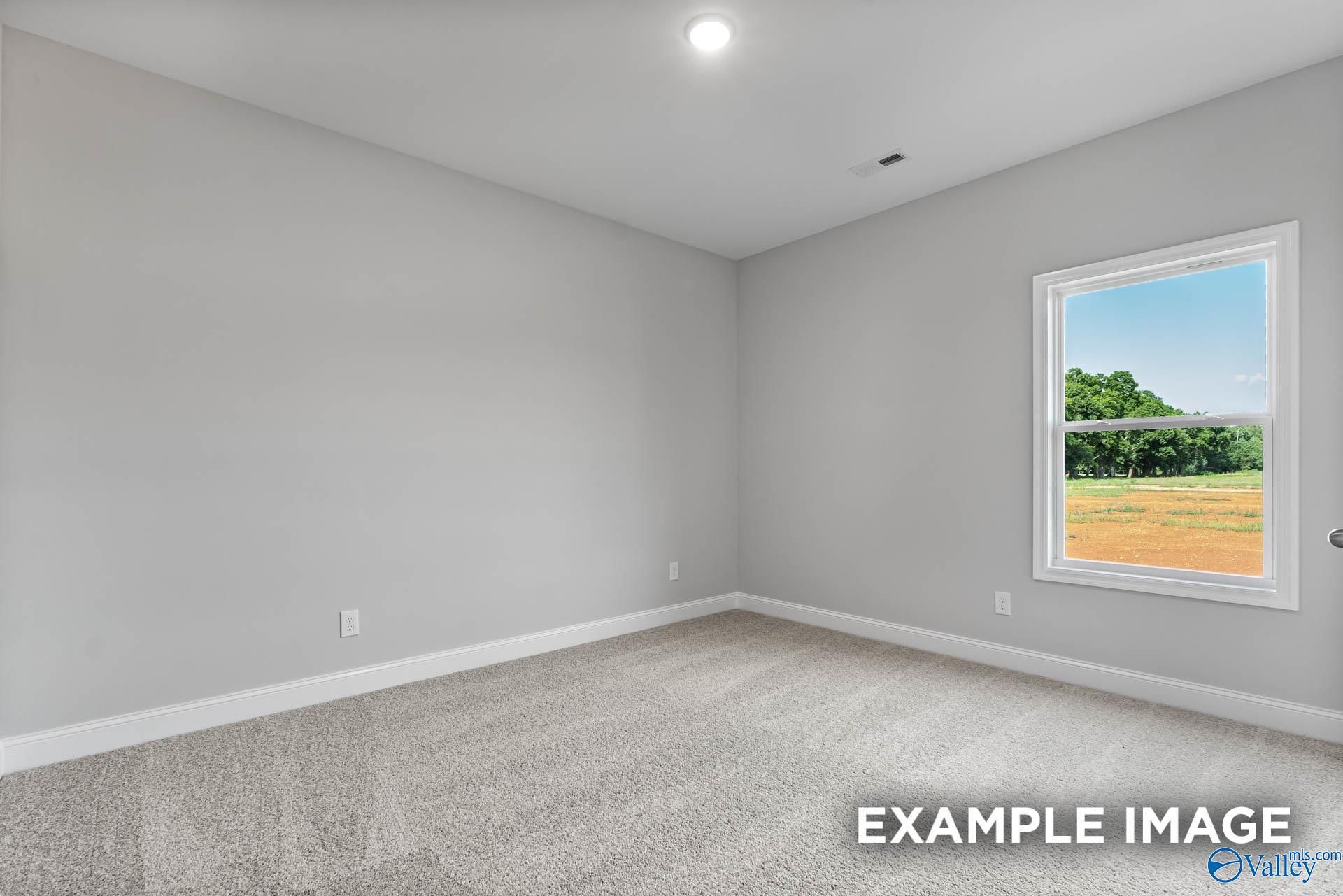 Empty bedroom with light gray walls, beige carpet, and large window showing sunny rural landscape in Davidson Homes The Daphne C, Arab, Alabama