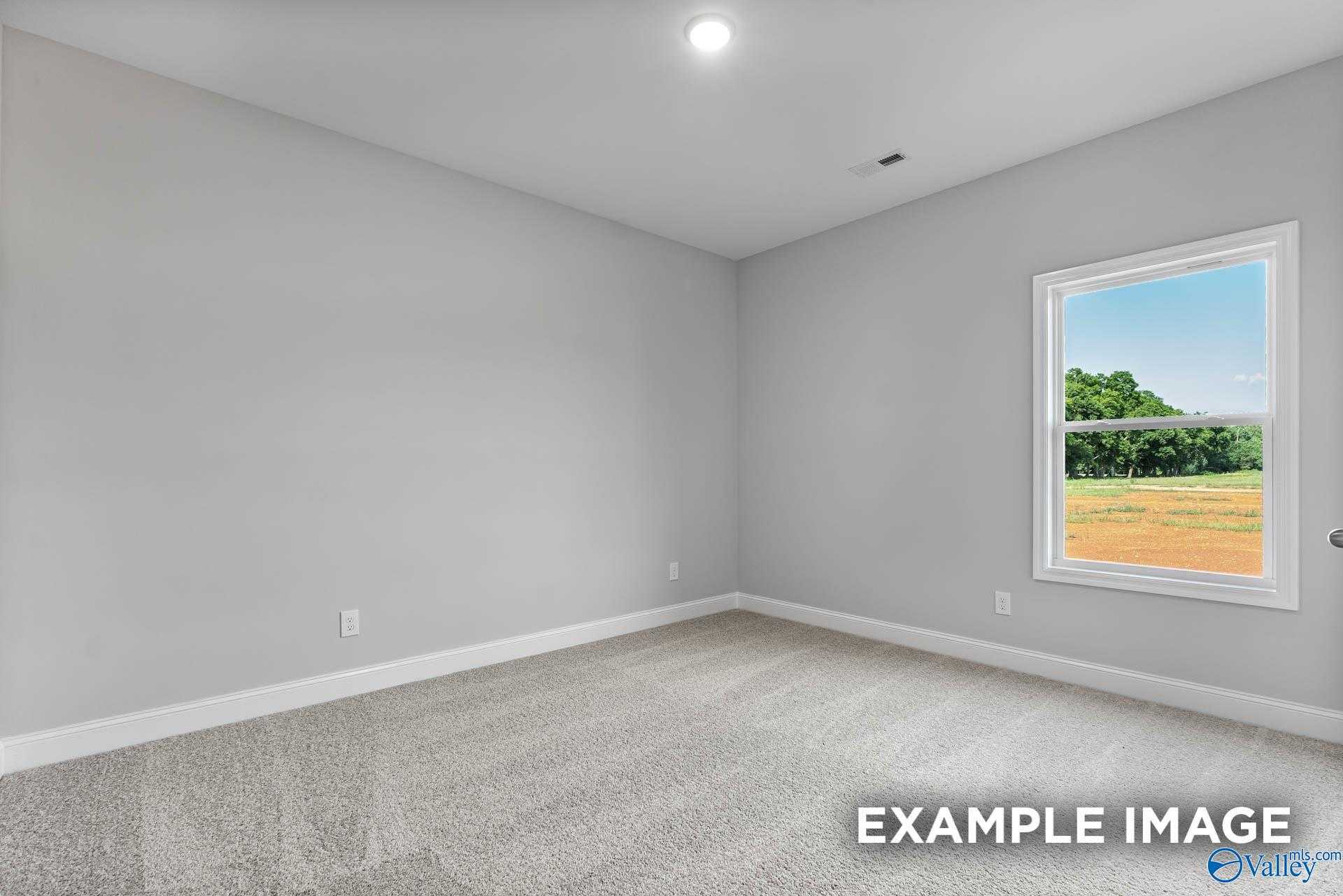 Empty bedroom with light gray walls, beige carpet, and large window showing sunny rural landscape in Davidson Homes The Daphne C, Arab, Alabama
