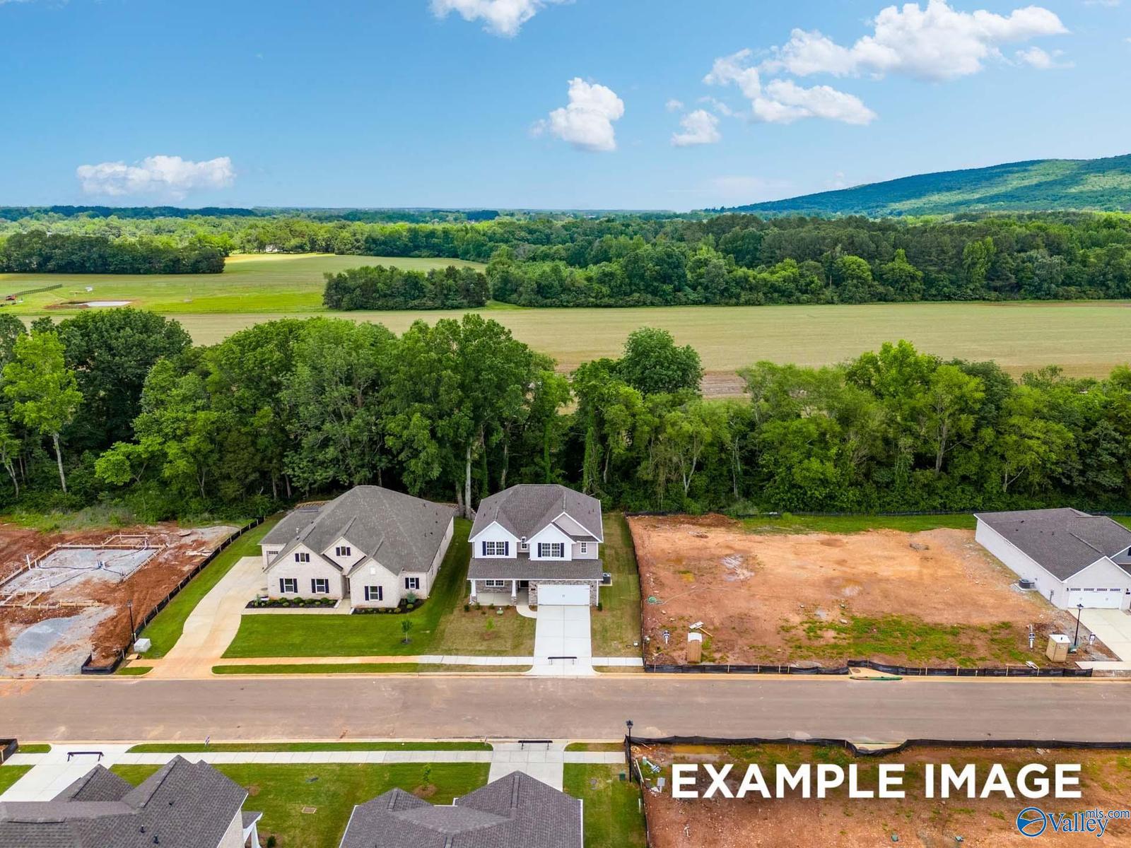 Image 36 of Davidson Homes' New Home at 132 Holly Grove Lane