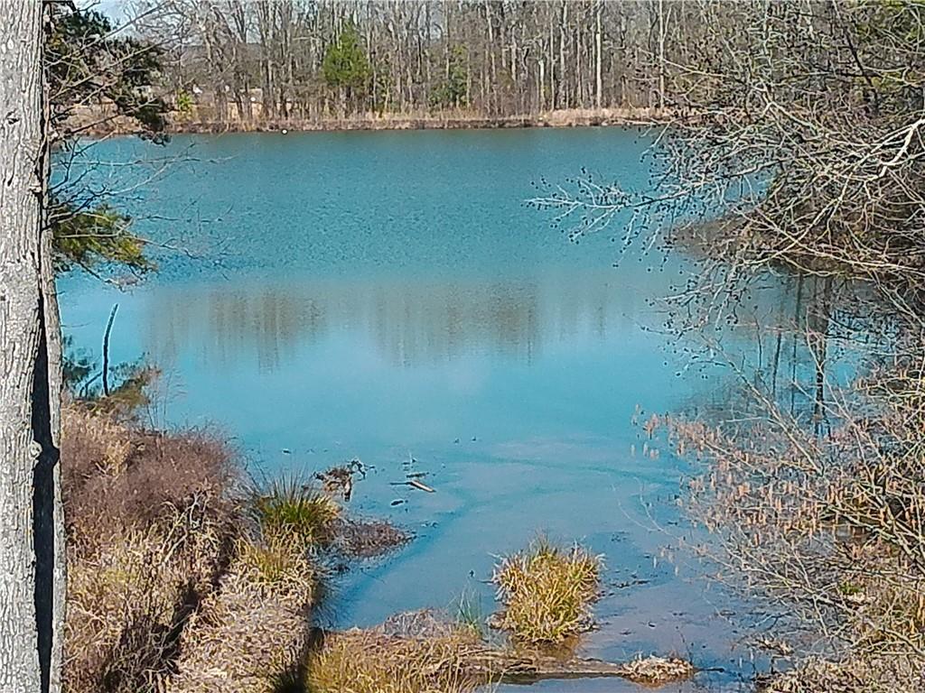 Serene blue lake with reflections, bare trees, and shoreline grasses in Lake Shore, Winder, Georgia community