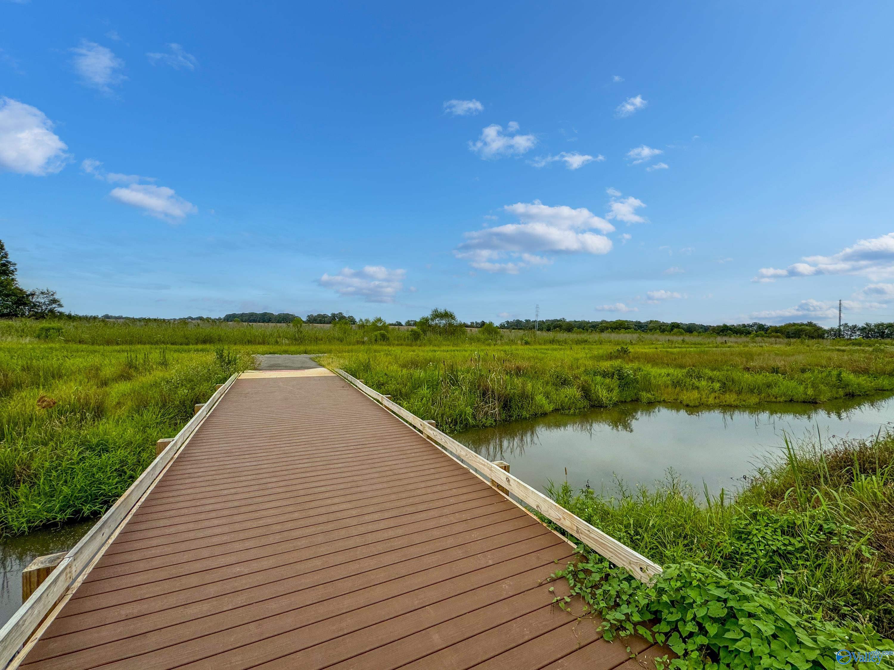 Scenic wooden boardwalk over lush green marshlands with ponds in Barnett's Crossing, Madison, Alabama