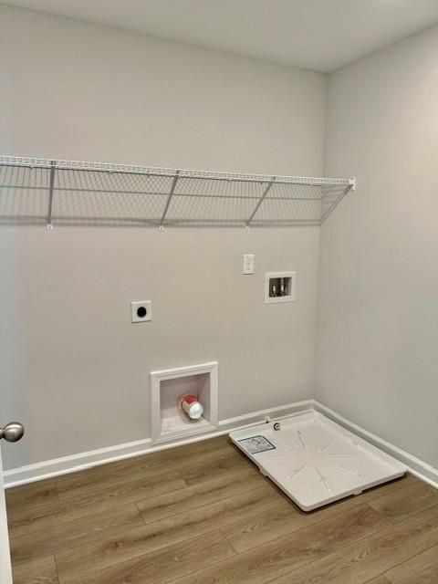 Image 7 of Davidson Homes' New Home at 236 Black Walnut Way