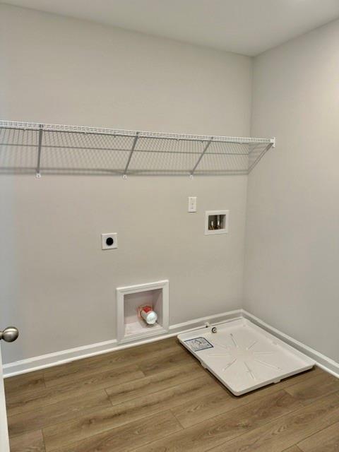 Image 7 of Davidson Homes' New Home at 236 Black Walnut Way