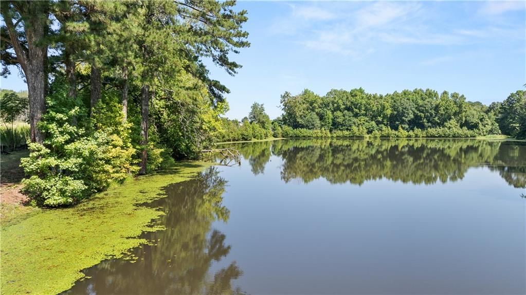 Scenic lake with lush pine trees and reflections at Lake Shore community in Winder, Georgia by Davidson Homes