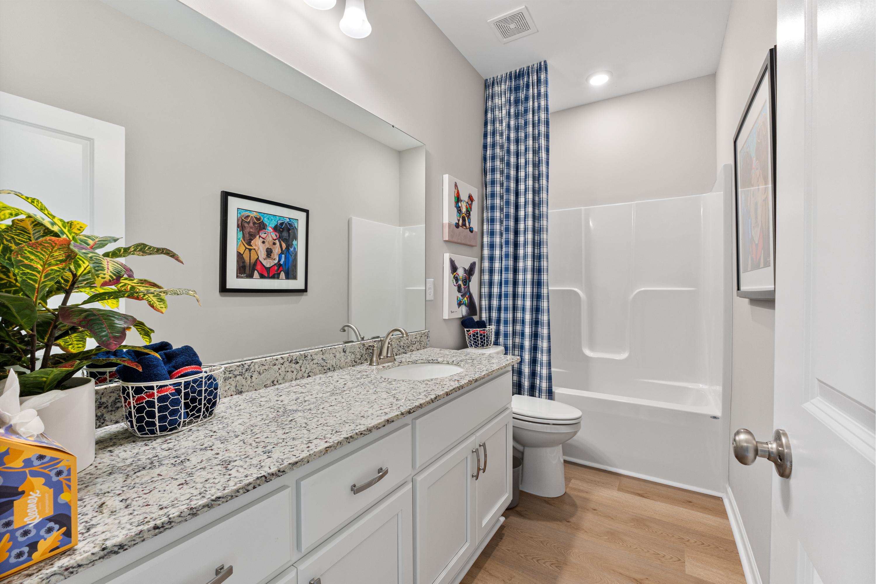 Bright bathroom with granite vanity, white cabinets, tub shower combo, playful art, and potted plant in Forest Glen, Hazel Green Alabama