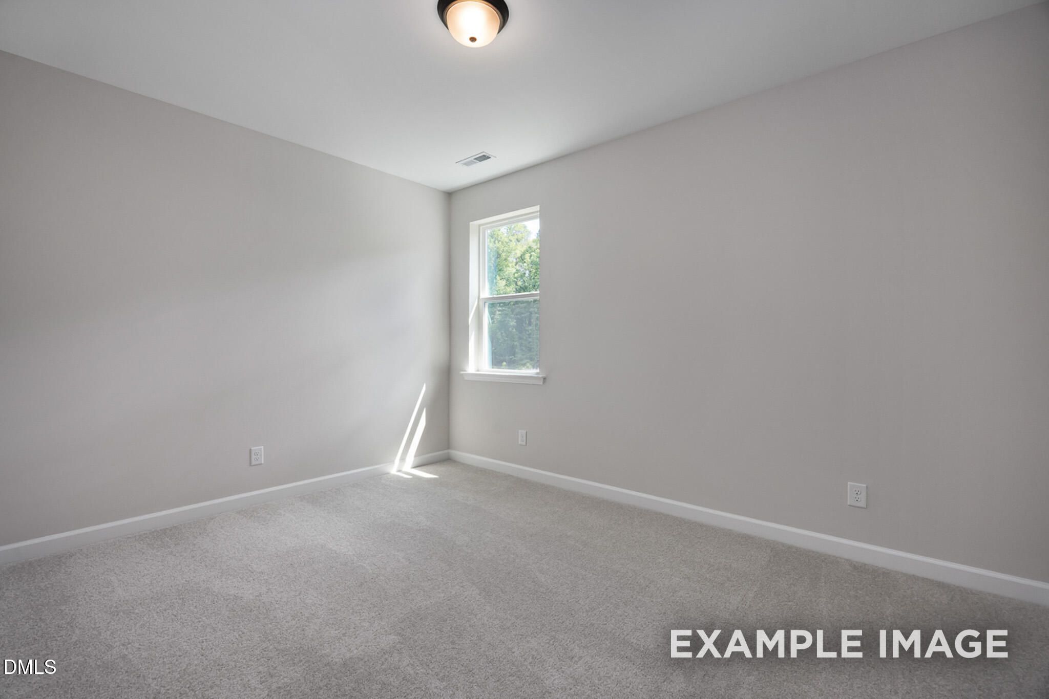 Image 18 of Davidson Homes' New Home at 912 Diana Victoria Court