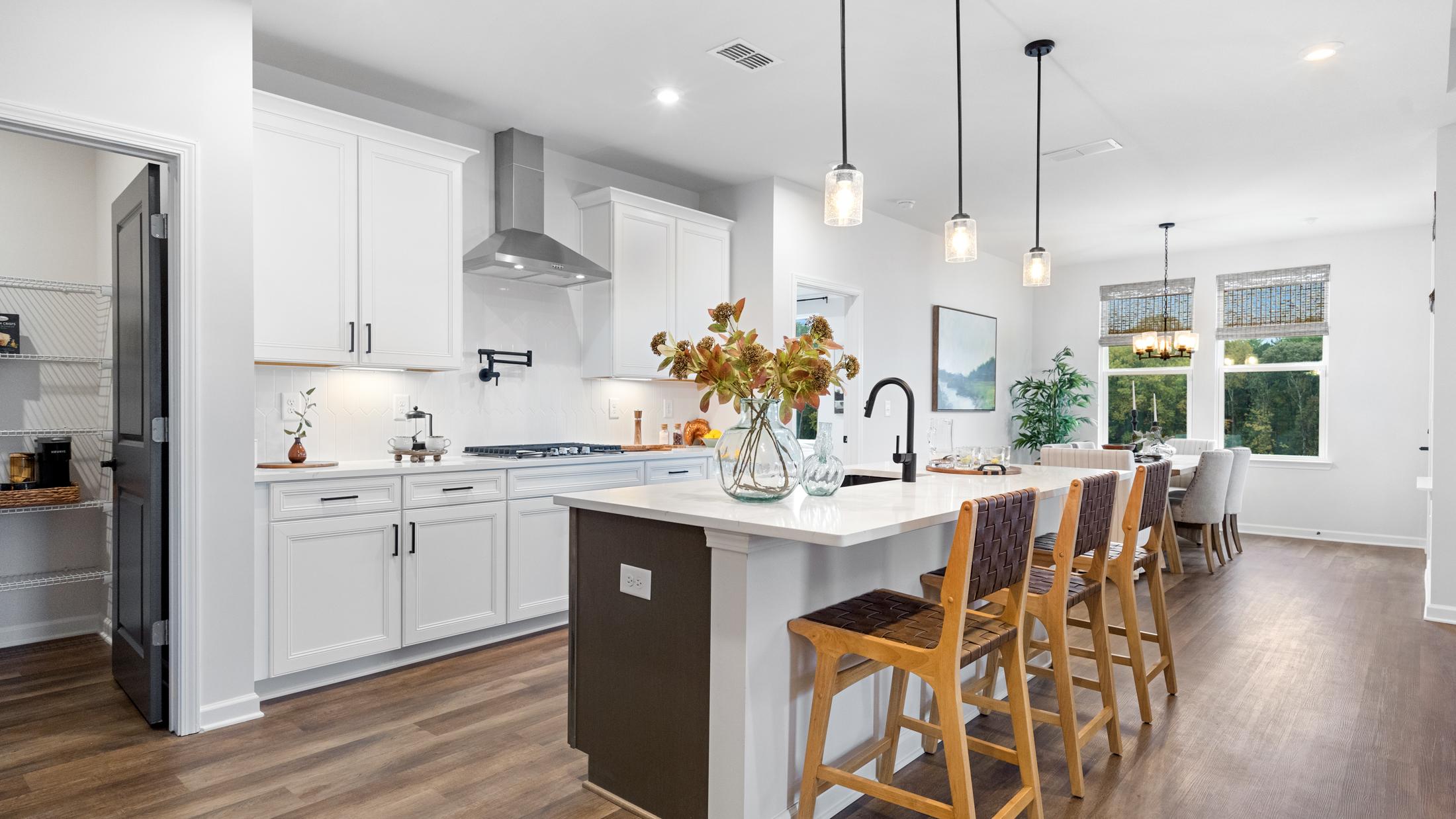 Home Representing Kelly Preserve in Dallas, Georgia