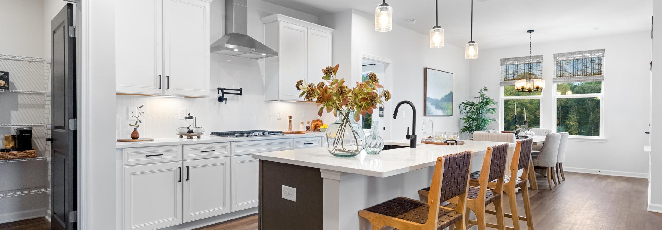 Home Representing Kelly Preserve in Dallas, Georgia