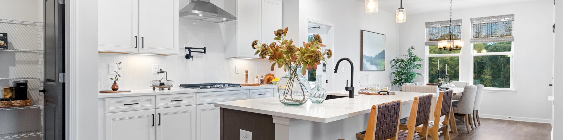 Home Representing Kelly Preserve in Dallas, Georgia