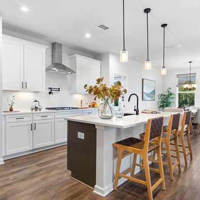 Home Representing Kelly Preserve in Dallas, Georgia