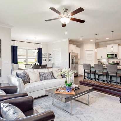 Williams Pointe Open Floor Plan