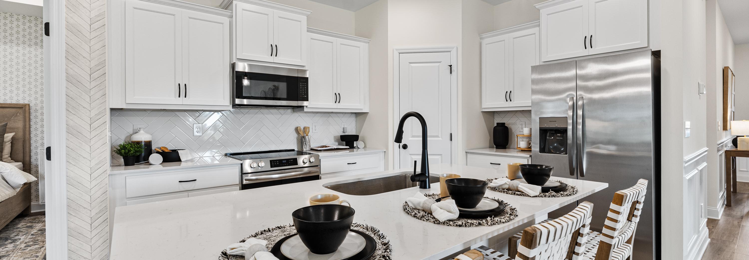 Green cornfield in Hazel Green, Alabama