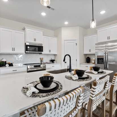 Green cornfield in Hazel Green, Alabama