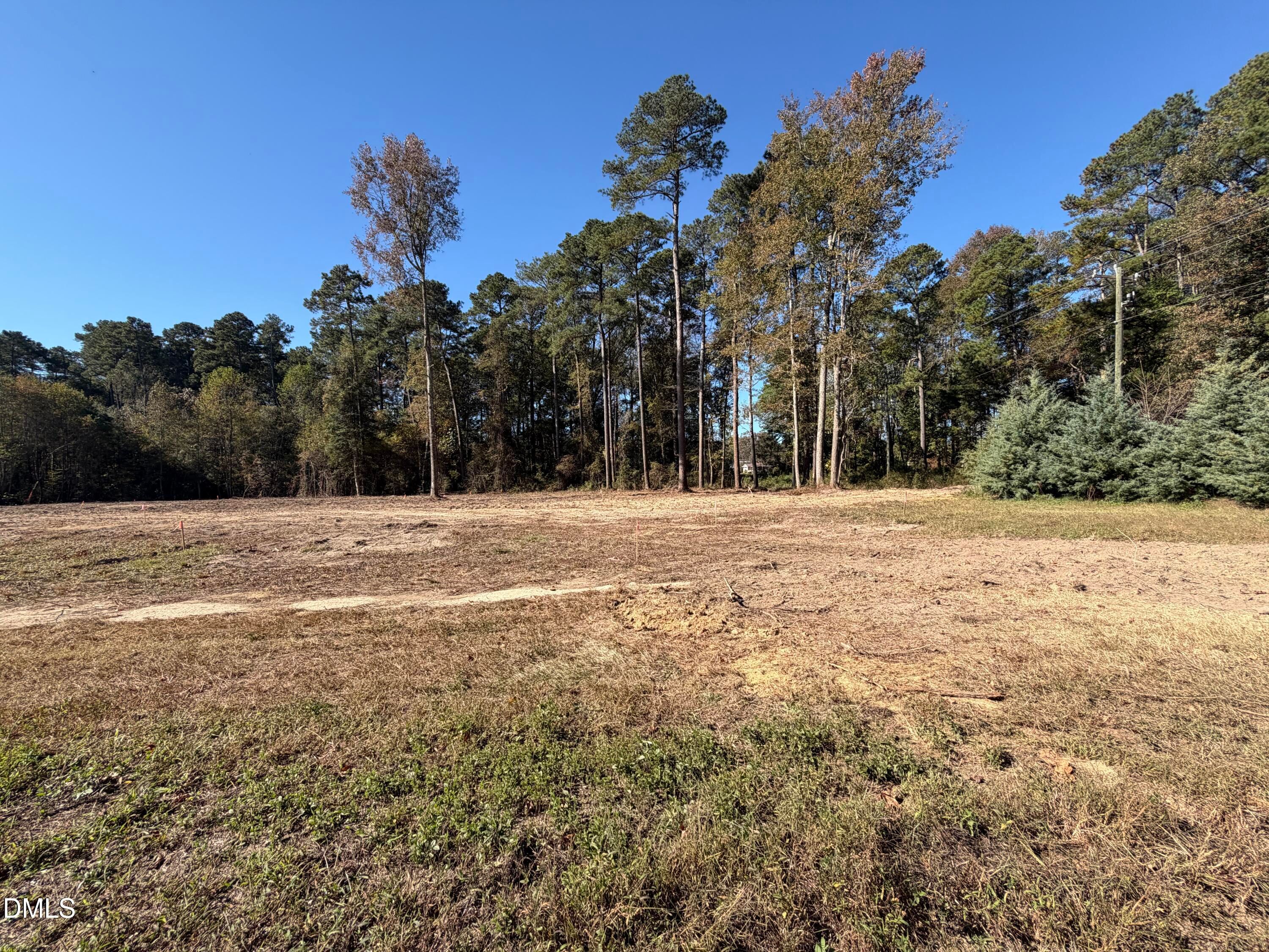 Cleared wooded lot with tall pine trees and autumn foliage under blue sky in Wellers Knoll, Lillington, NC for Davidson Homes Carter C