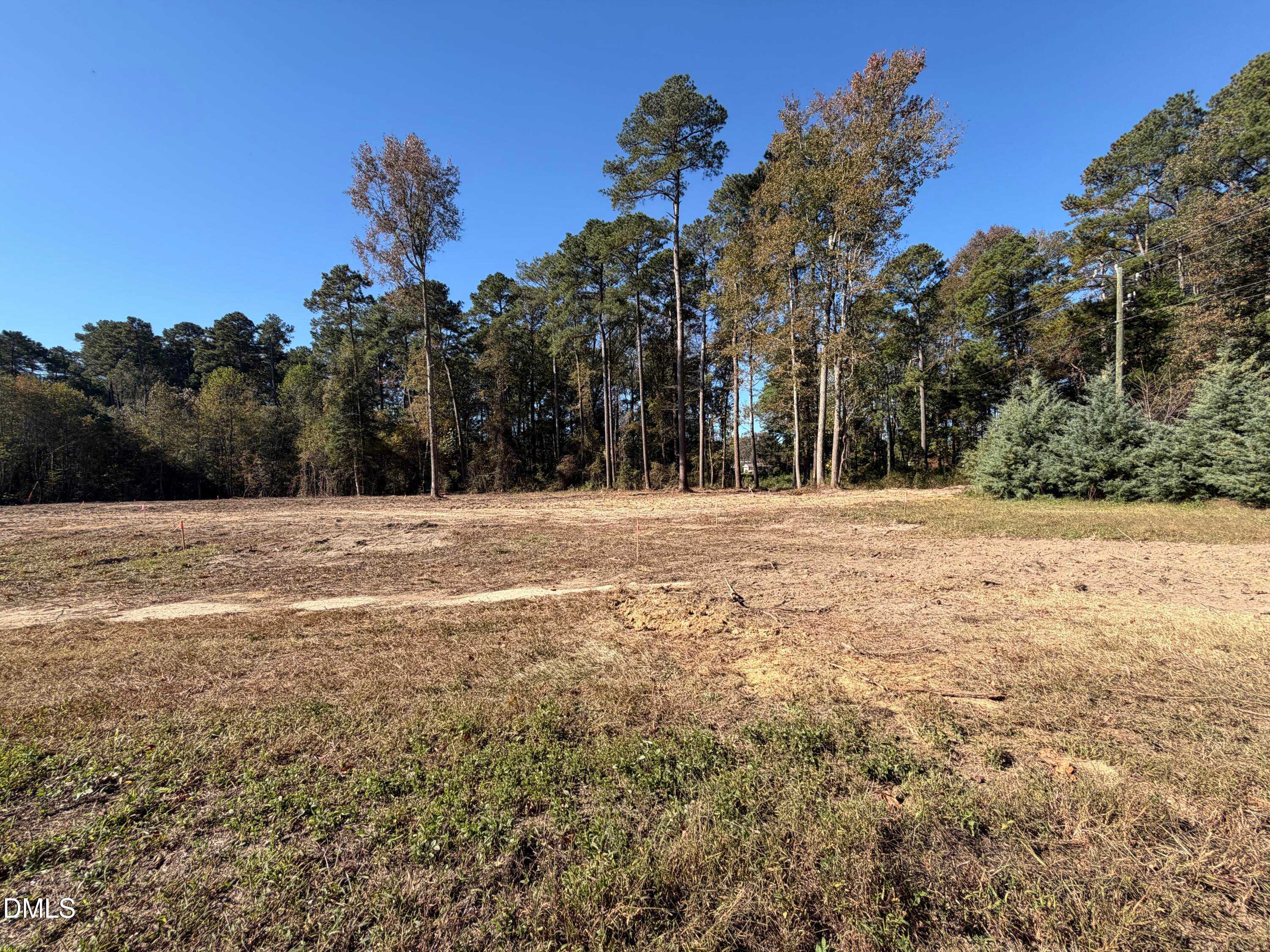 Cleared lot with tall pine trees and autumn foliage under blue sky in Wellers Knoll, Lillington, North Carolina