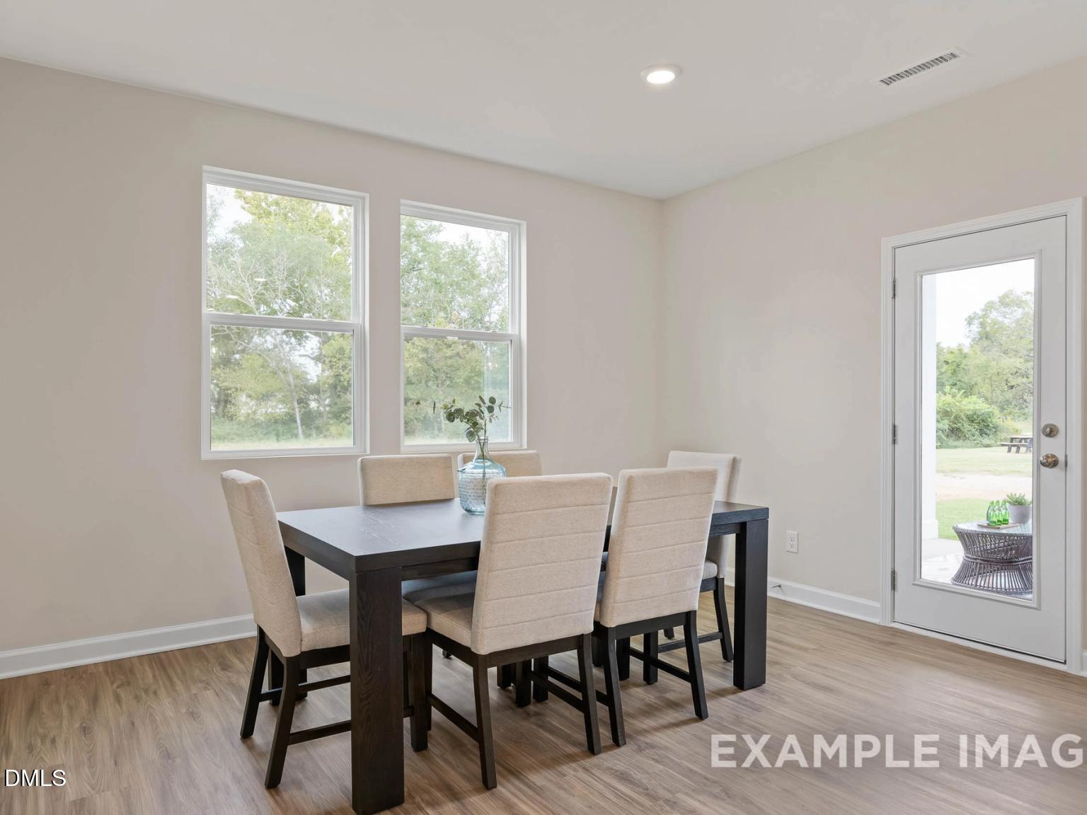 Image 16 of Davidson Homes' New Home at 901 Diana Victoria Court