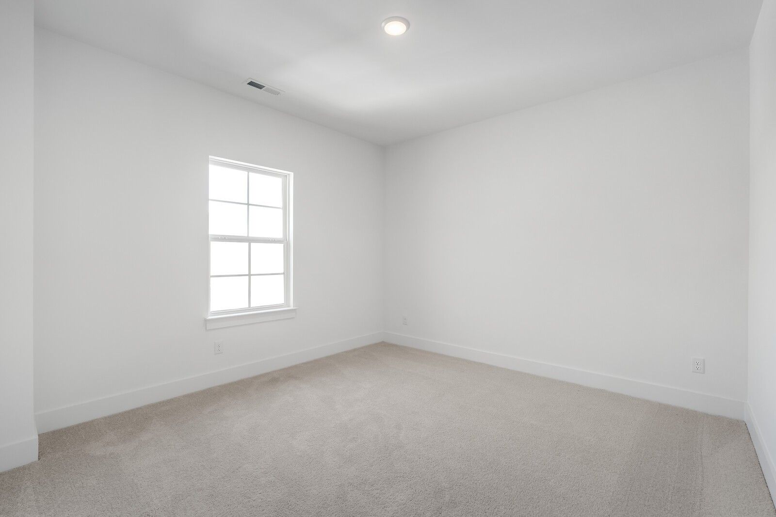Bright secondary bedroom with large window, white walls, and beige carpet in The Hawkins 4-bedroom home, Murfreesboro, TN