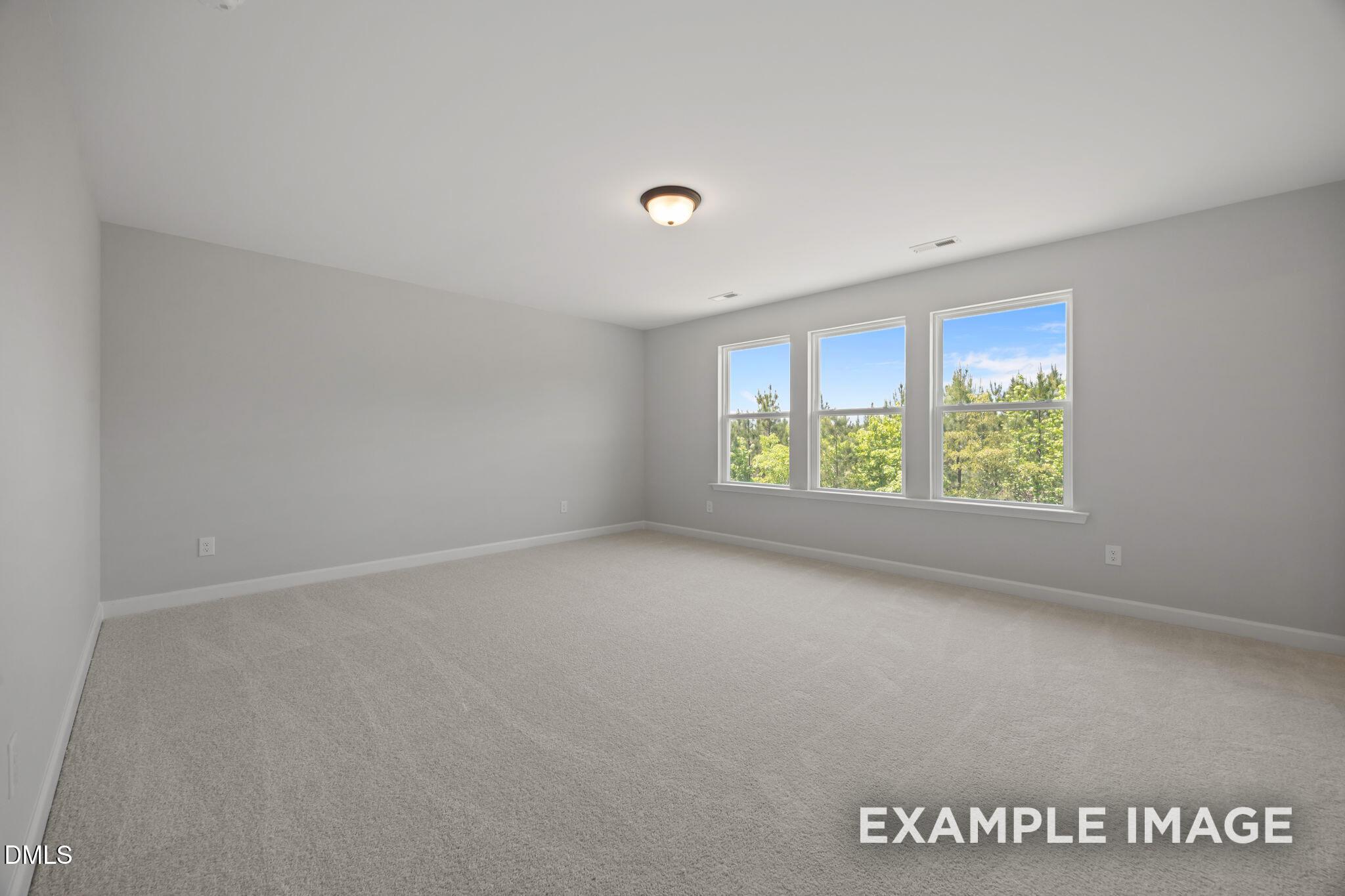 Image 26 of Davidson Homes' New Home at 908 Diana Victoria Court