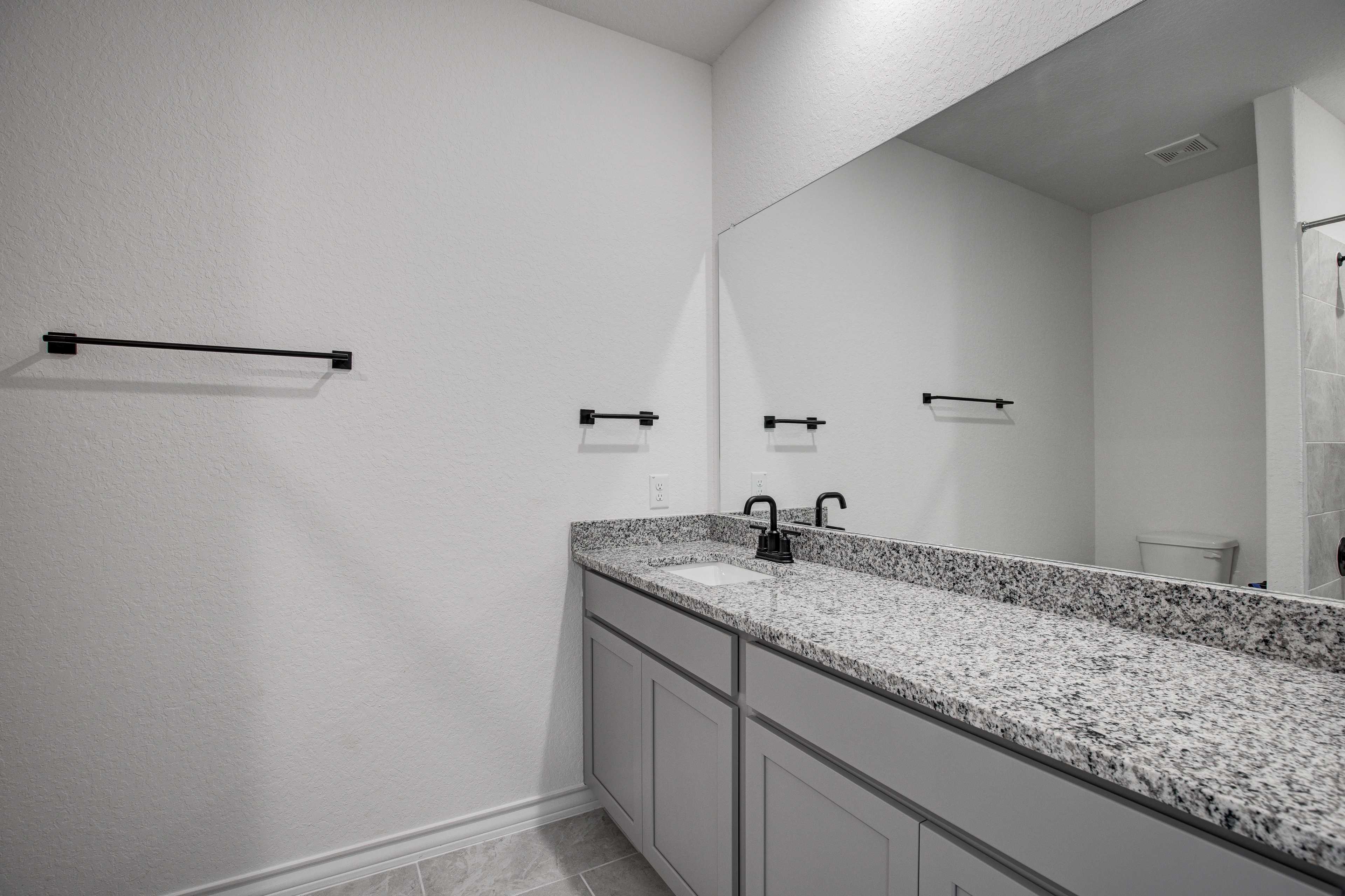 Spacious master bathroom in The Lanier with gray vanity, granite countertop, single sink, and walk-in shower