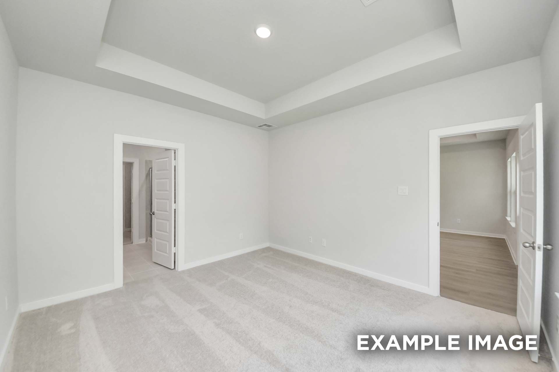 Spacious master suite with tray ceiling in The Blanco by Davidson Homes, featuring carpet flooring and ensuite bath access.