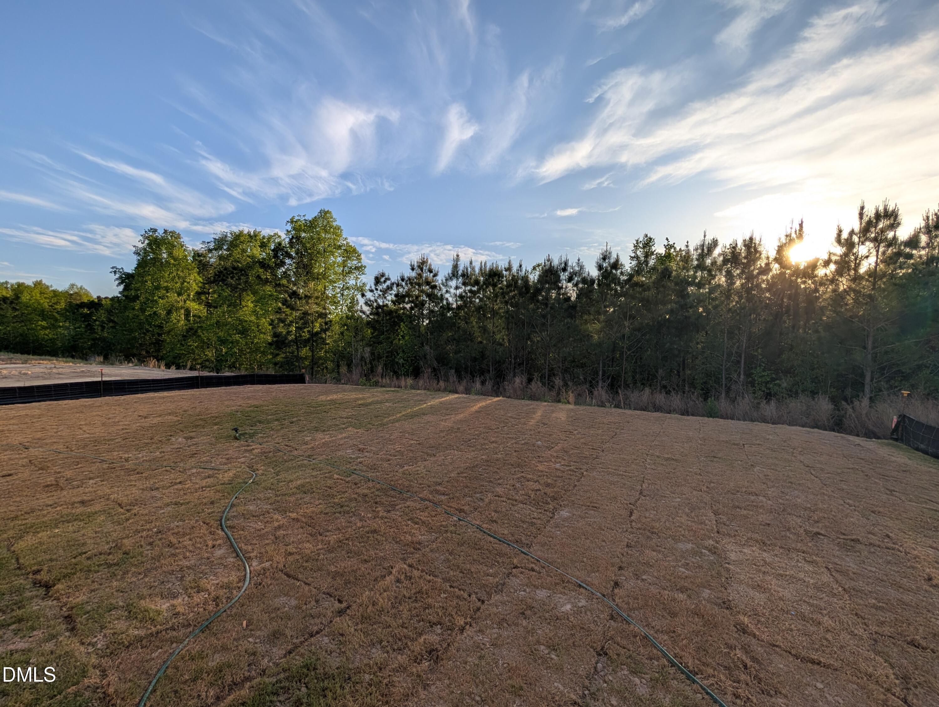 Image 28 of Davidson Homes' New Home at 817 Diana Victoria Court
