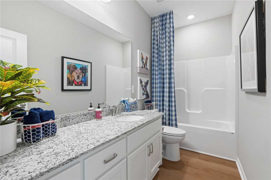 Modern guest bathroom featuring granite vanity, white cabinets, bathtub with blue curtain, and dog art in Davidson Homes The Phoenix B, Opelika, Alabama