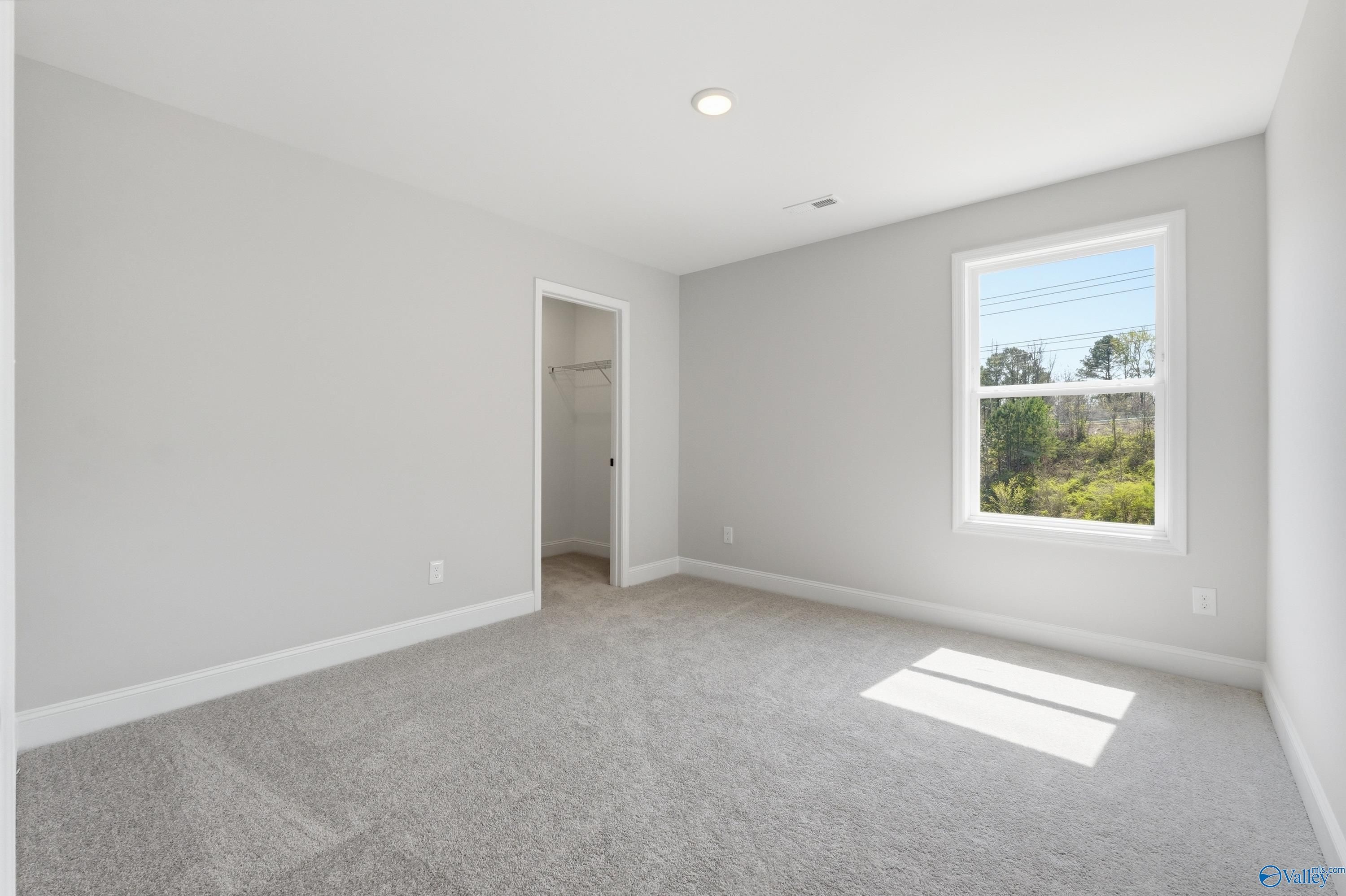 Bright secondary bedroom with gray walls, plush carpet, walk-in closet, and sunny window view in Davidson Homes Chelsea D, Cullman AL