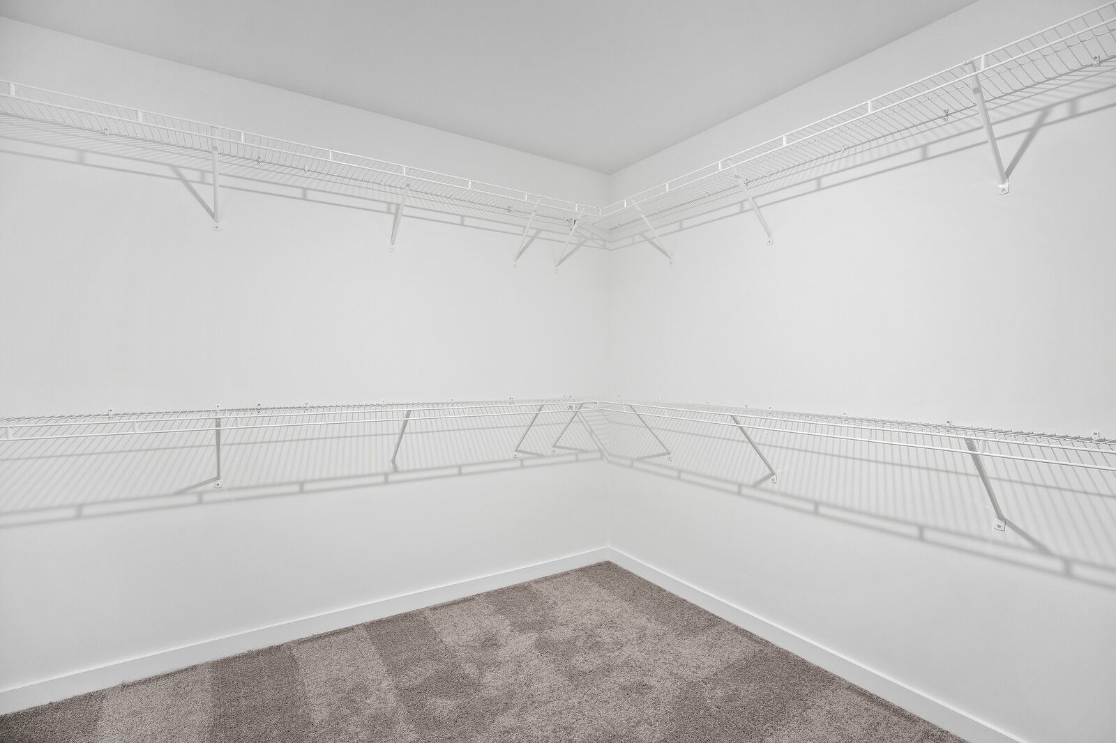 Spacious walk-in closet with white wire shelving and carpeted floor in Davidson Homes The Logan C, Gallatin, TN