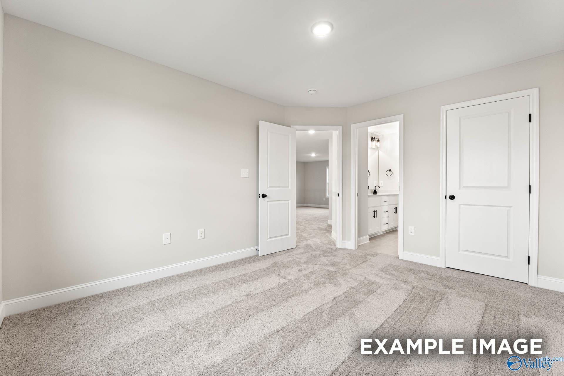 Image 43 of Davidson Homes' New Home at 306 Pone Street
