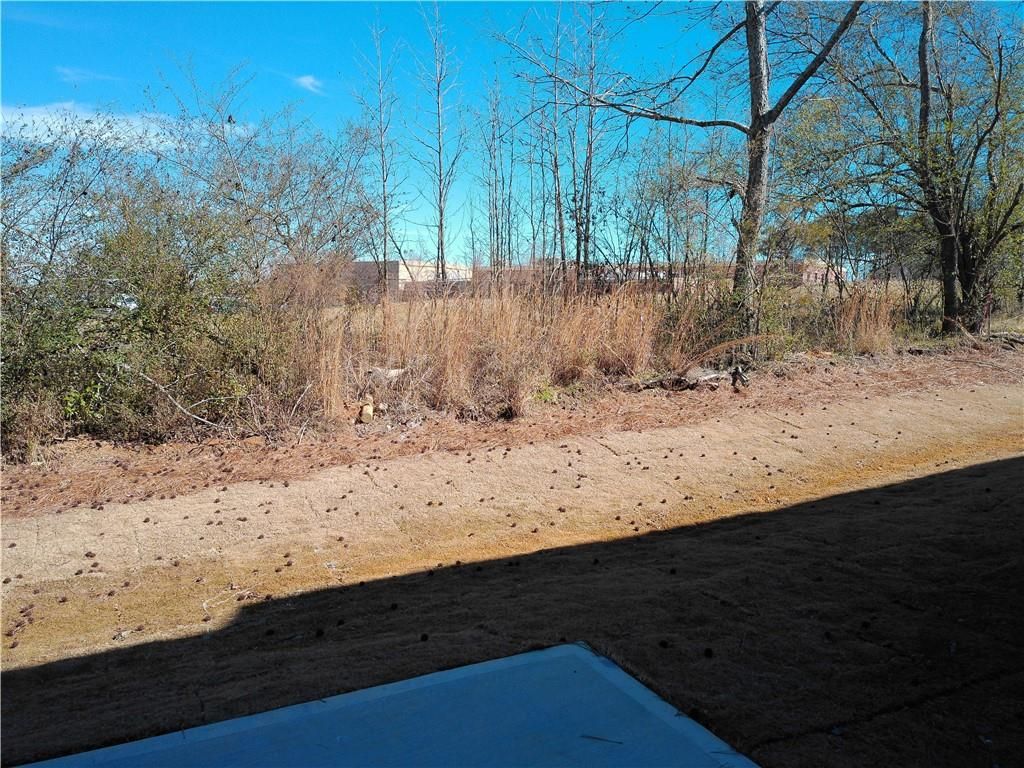 Serene wooded backyard with bare trees, bushes, and dirt path beside beige two-story home in Lake Shore, Winder, Georgia