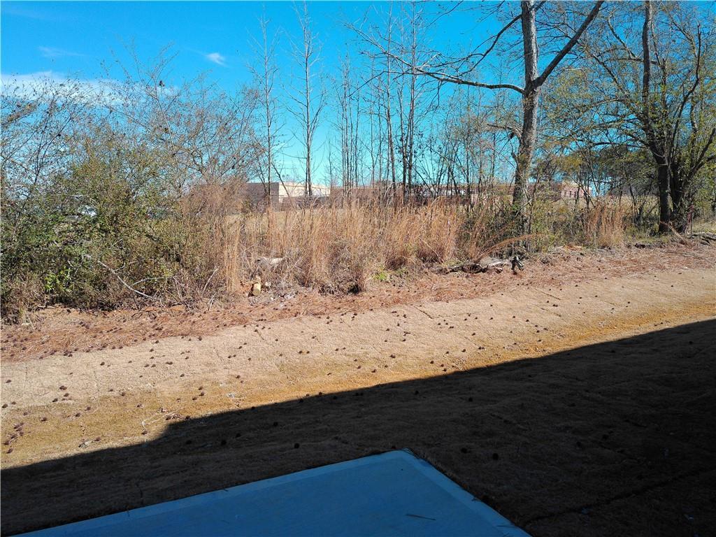 Serene wooded backyard with bare trees, bushes, and dirt path beside beige two-story home in Lake Shore, Winder, Georgia