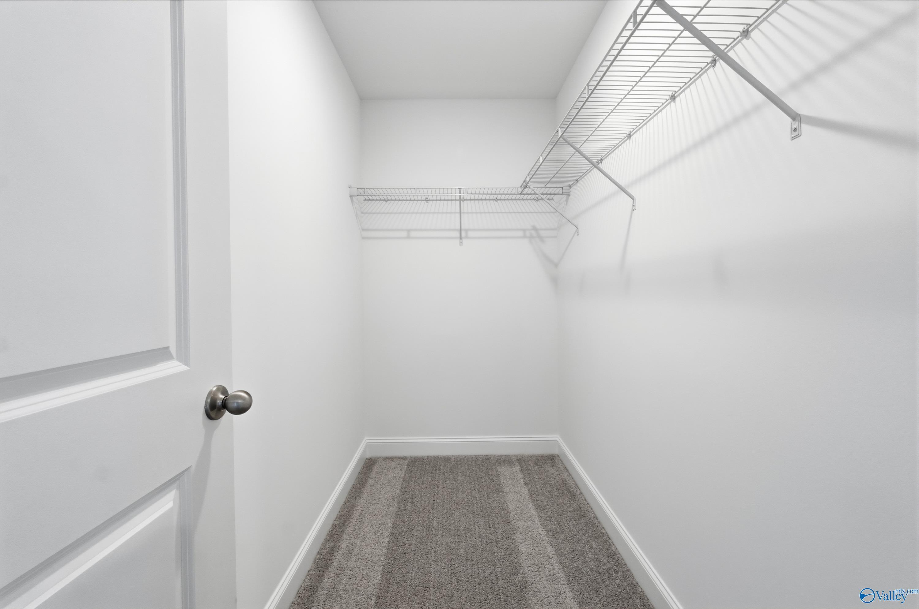 Spacious walk-in closet with white walls, wire shelving, open door, and gray carpet in Davidson Homes The Butler, New Market, Alabama