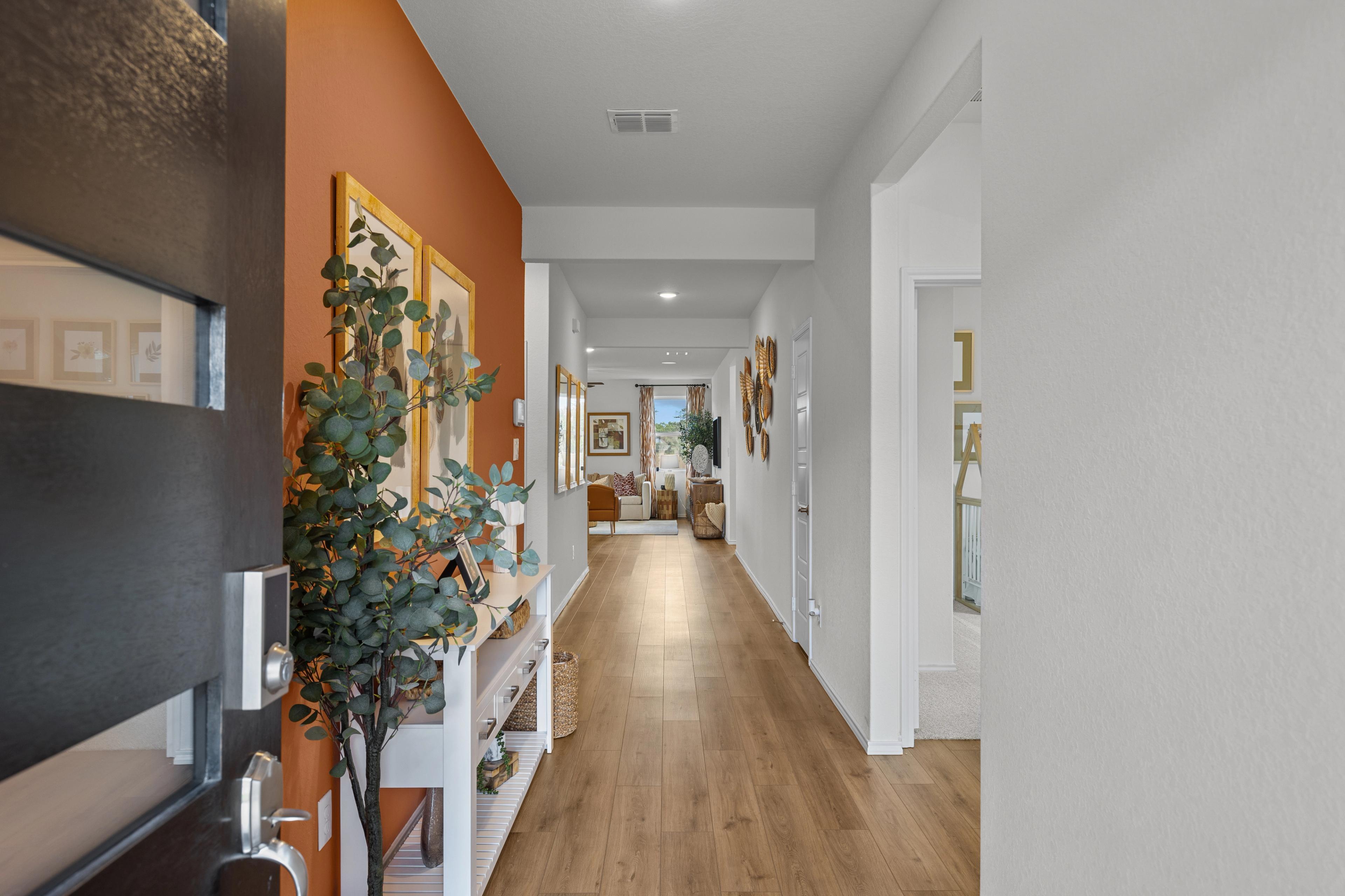 Spacious entry hallway at Rayburn Valley in San Antonio Texas by Davidson Homes featuring orange accent wall, potted greenery, and oak hardwood floors