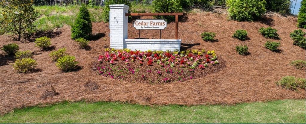 Image 4 of Davidson Homes' New Home at 33 Spruce Hollow
