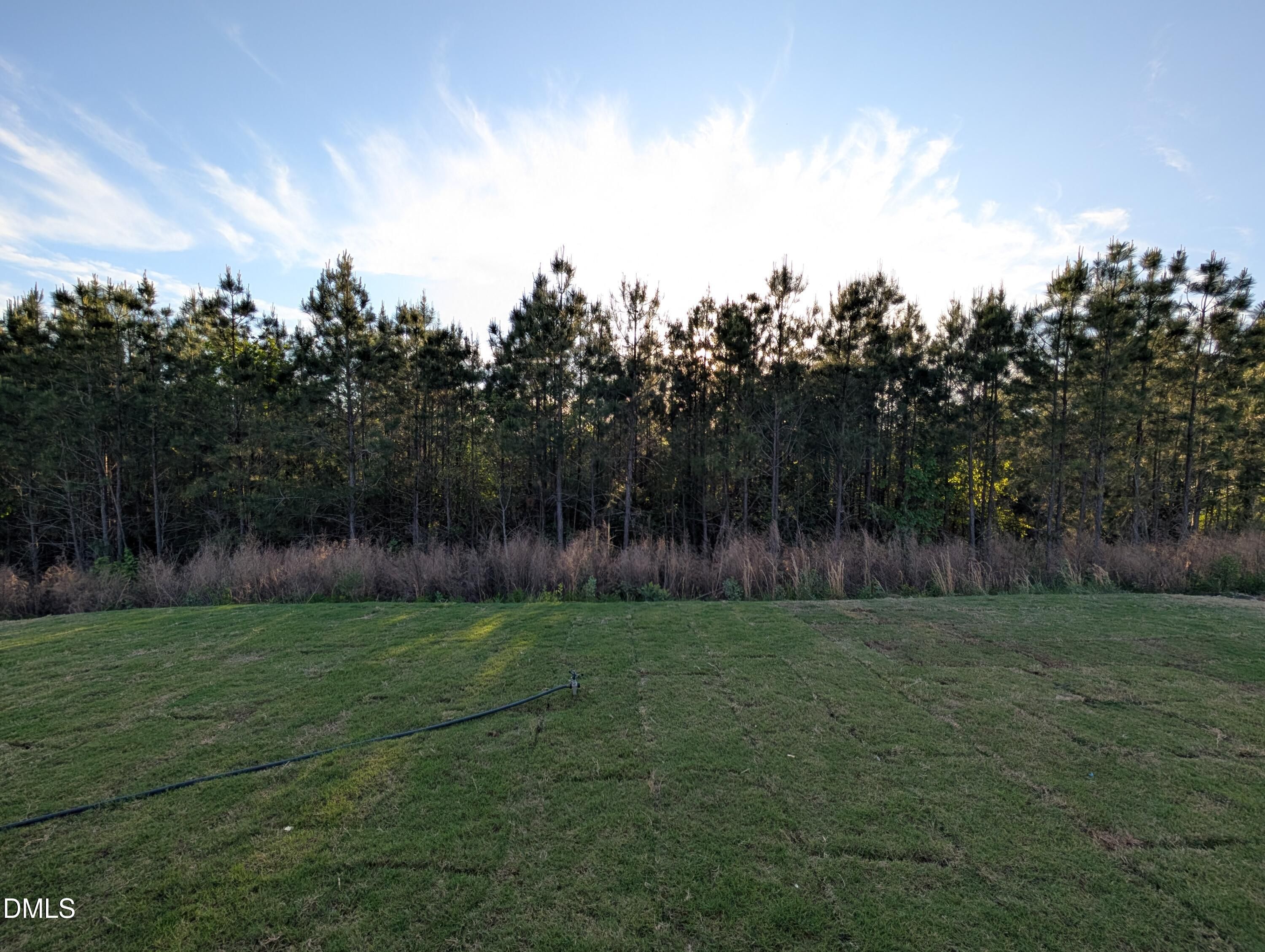 Image 30 of Davidson Homes' New Home at 825 Diana Victoria Court