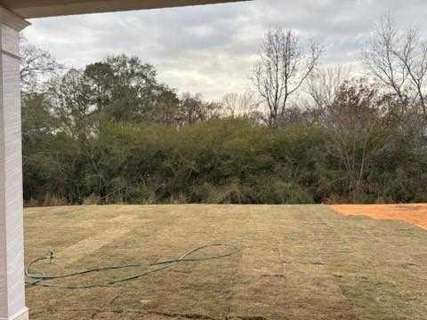 Serene backyard with fresh sod, coiled hose, and wooded border under cloudy sky in Davidson Homes The Rabun C, Winder, GA