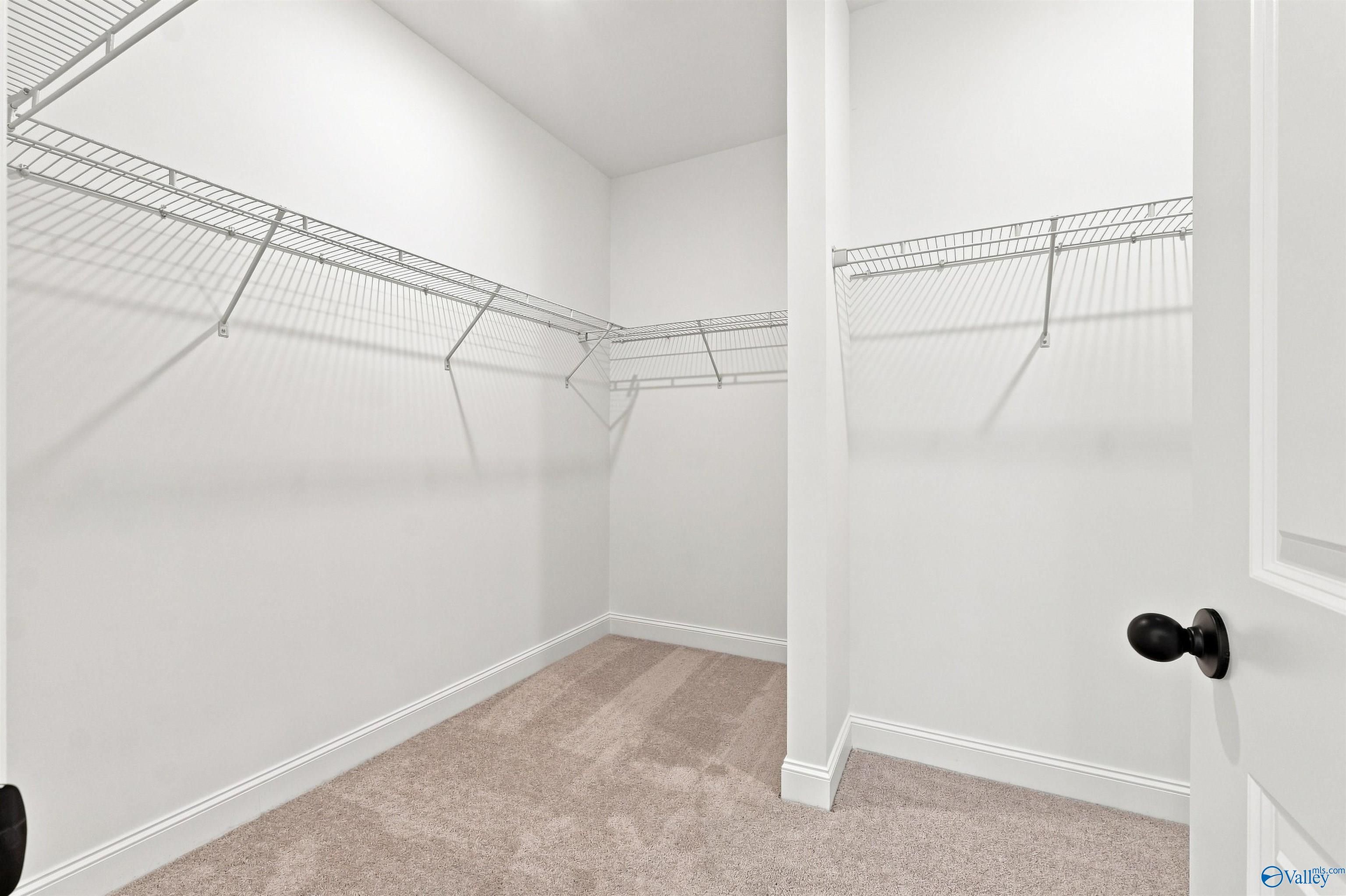 Spacious walk-in closet with wire shelving and plush carpet in Davidson Homes The Everett B, Wood Trail, Toney, Alabama