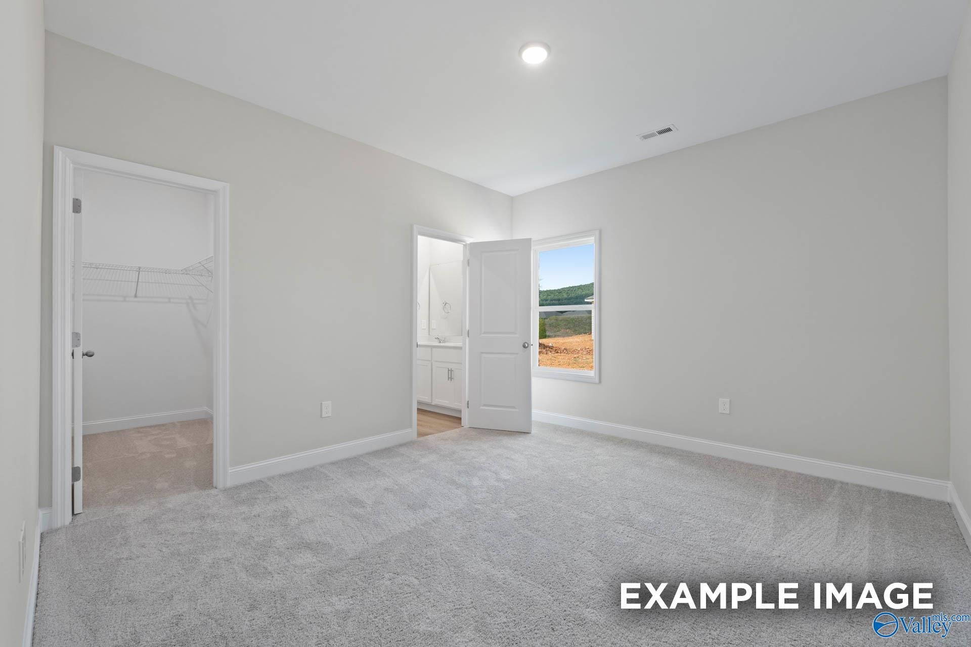 Spacious bedroom with gray walls, carpeted floor, walk-in closet, and scenic window view in Davidson Homes The Butler, Owens Cross Roads, AL