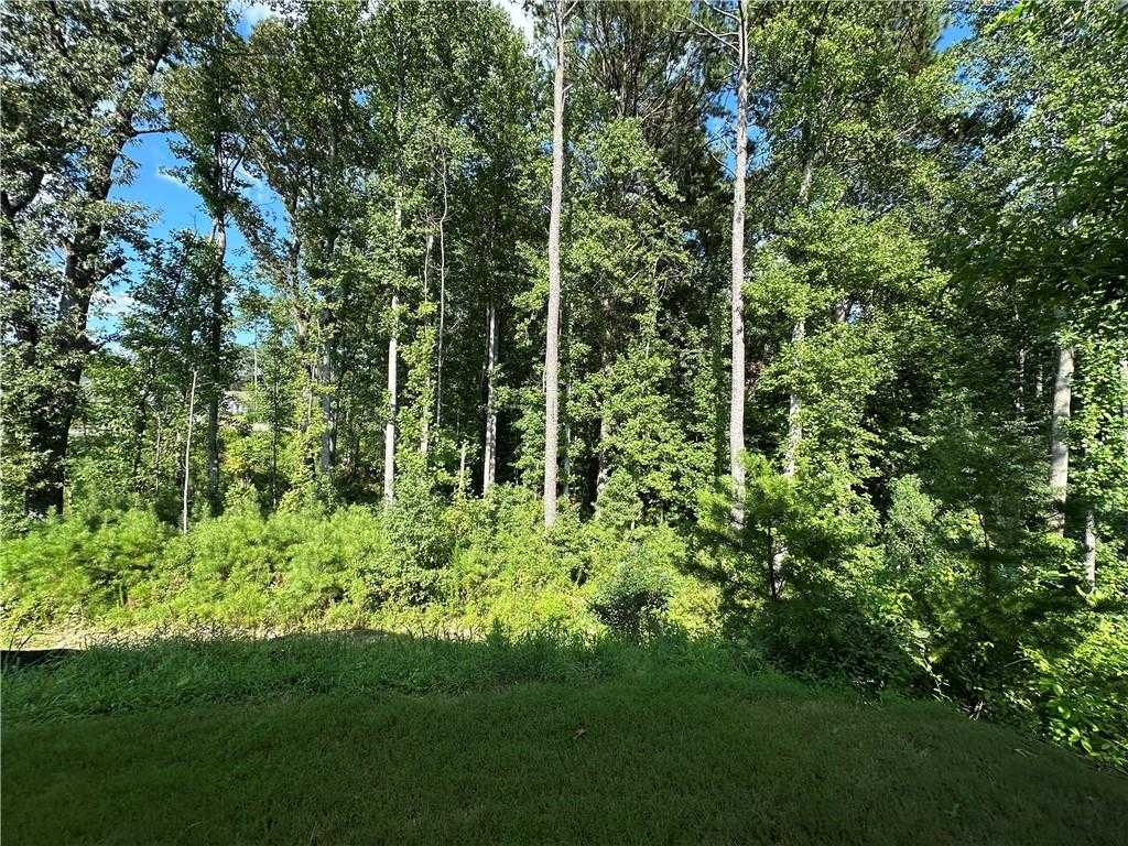 Lush wooded backyard with tall trees and green underbrush in Kelly Preserve, Loganville, Georgia Davidson Homes property