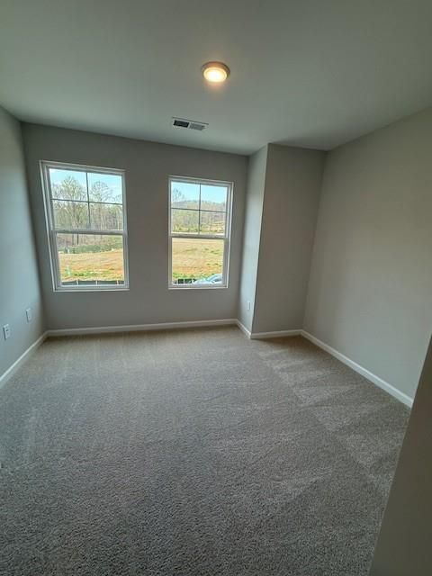 Spacious secondary bedroom with gray walls, carpet floor, and large windows overlooking wooded field in Davidson Homes The Durham D, Cumming, Georgia