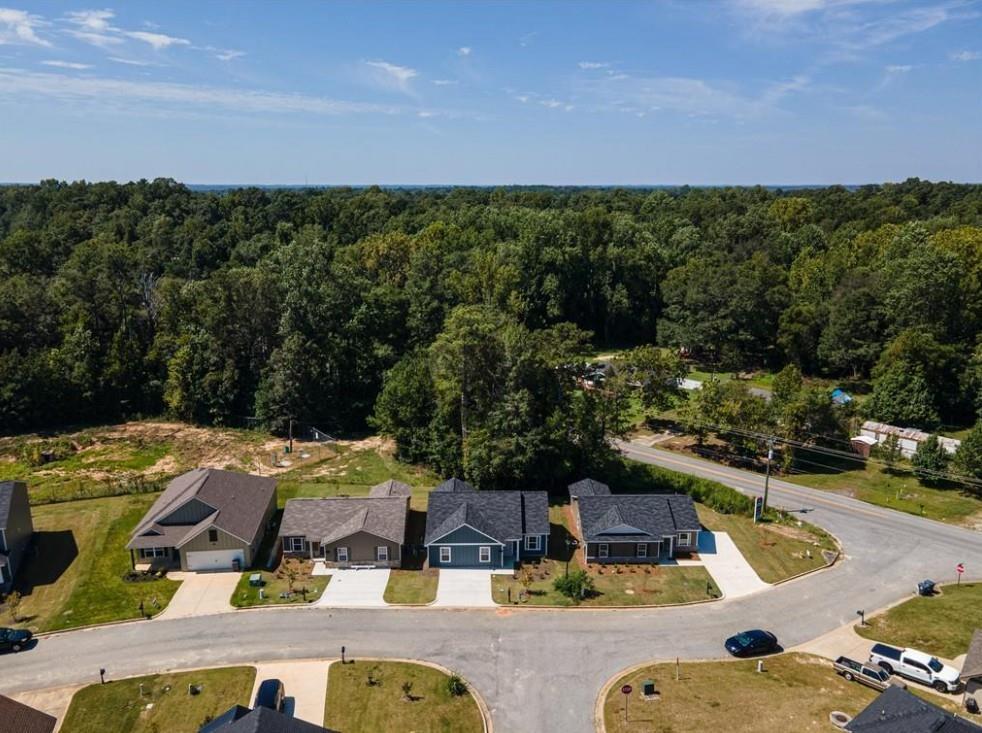 Aerial view of new single-story homes with garages in Summer Vineyard, Phenix City, Alabama, by Davidson Homes amid lush forest