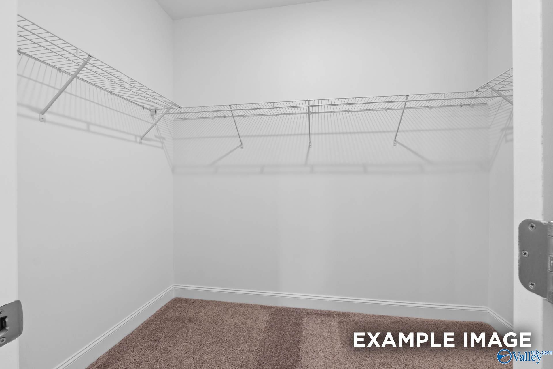 Image 22 of Davidson Homes' New Home at 103 Drupelet Lane